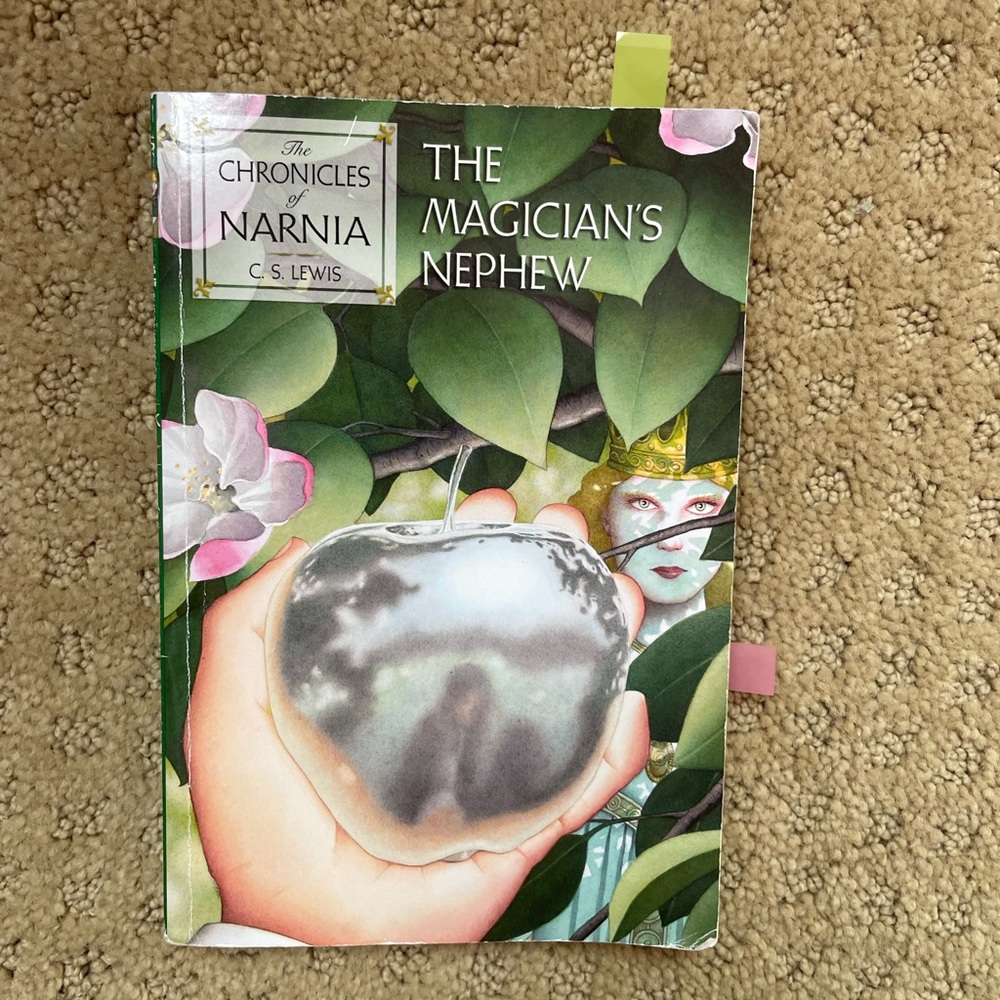 the magicians nephew book